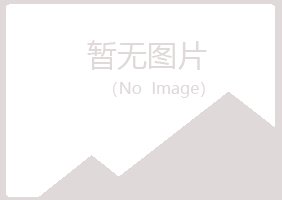 都兰县夏岚金属有限公司